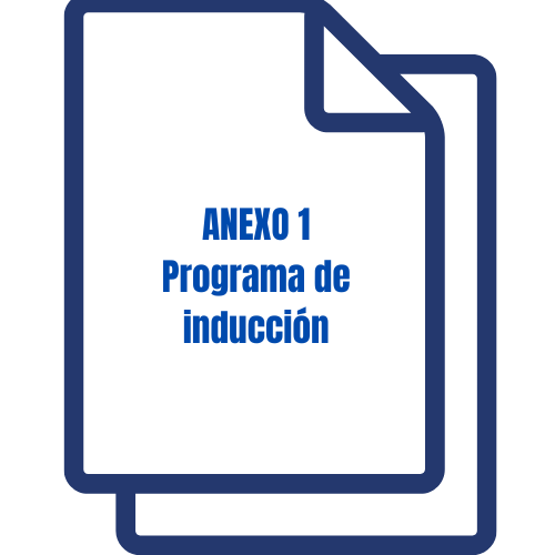 Mi imagen